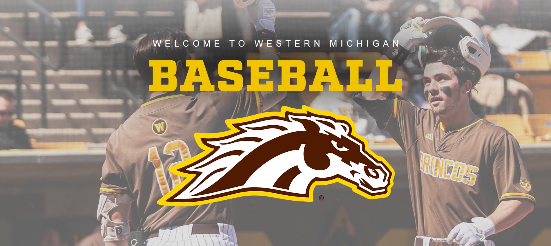 Western Michigan Baseball